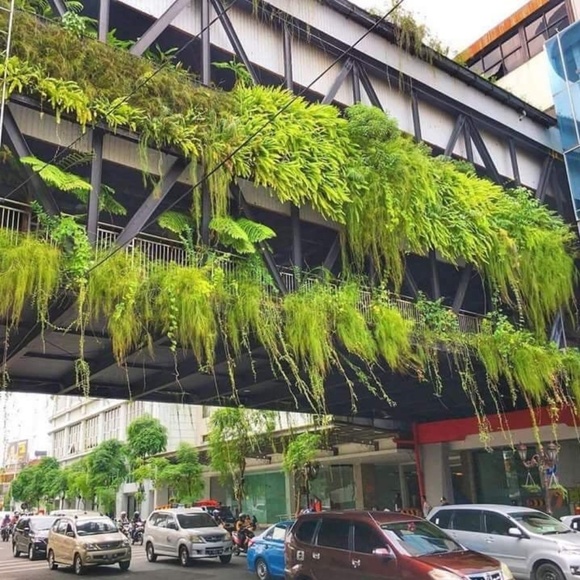 Meet your Posher, Felice - Picture 1 of 1